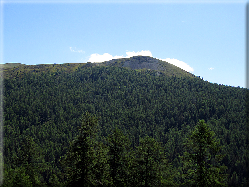 foto Malga Valsorda